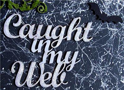 Caught in my Web detail 2