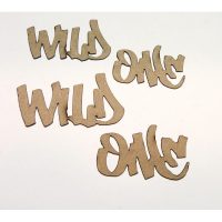 wild-one-title-368-600x600